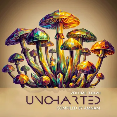 Pitanga — Uncharted Vol.37